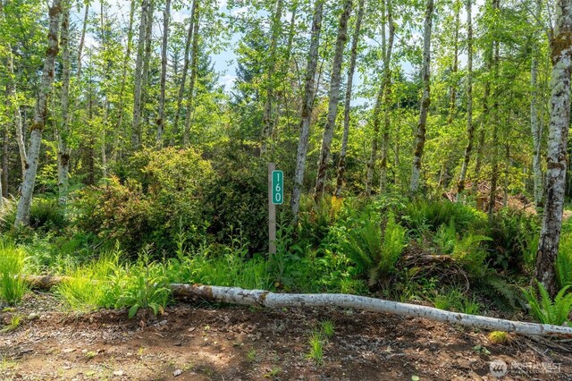 160 Elin Ln, Shelton, WA 98584 - photo 3