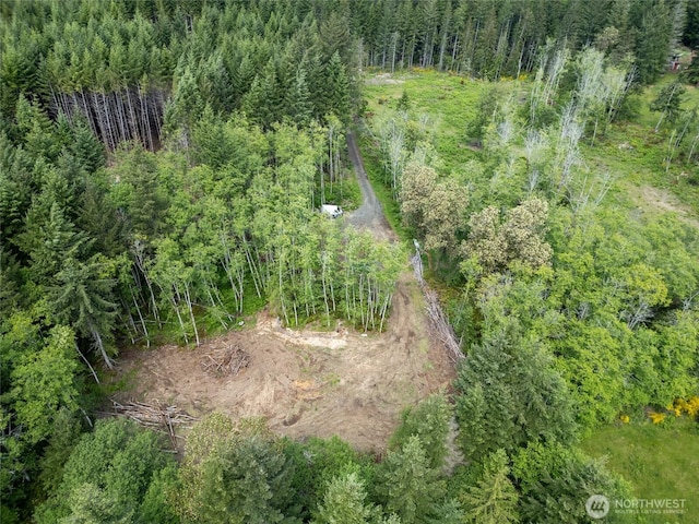 160 Elin Ln, Shelton, WA 98584 - photo 4
