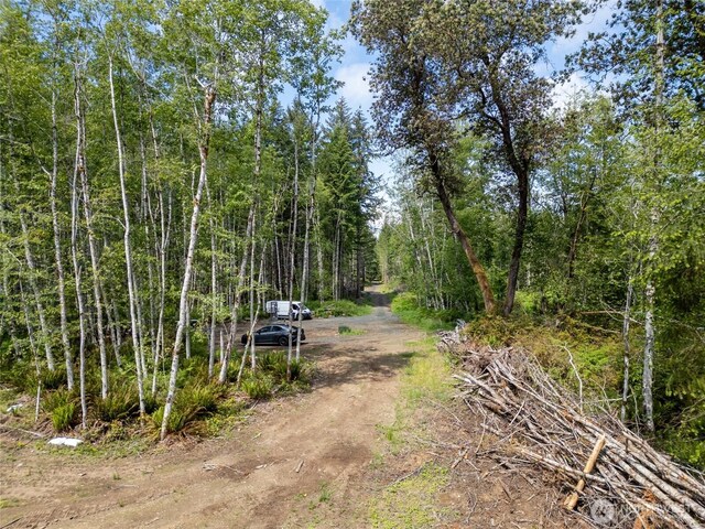 160 Elin Ln, Shelton, WA 98584 - photo 5