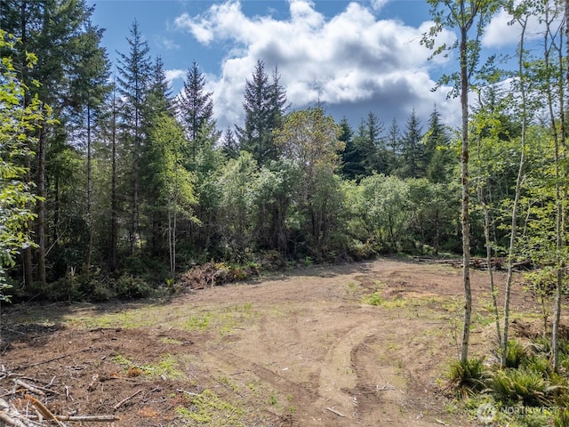 160 Elin Ln, Shelton, WA 98584 - photo 9
