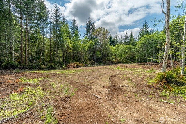 160 Elin Ln, Shelton, WA 98584 - photo 10