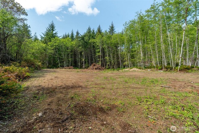 160 Elin Ln, Shelton, WA 98584 - photo 11