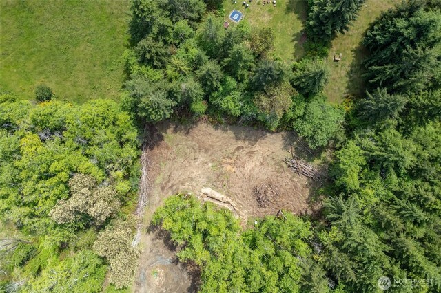 160 Elin Ln, Shelton, WA 98584 - photo 12