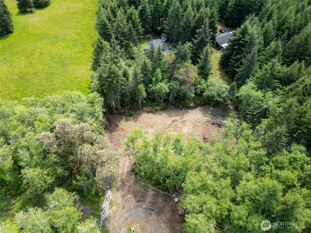 160 Elin Ln, Shelton, WA 98584 - photo 13