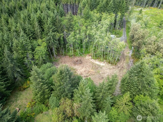 160 Elin Ln, Shelton, WA 98584 - photo 14