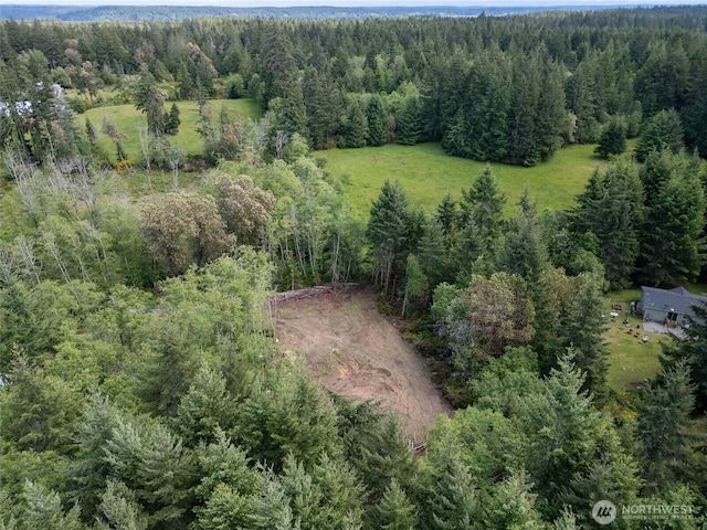 160 Elin Ln, Shelton, WA 98584 - photo 15