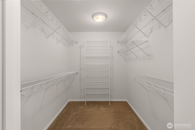 2024 N 145th St, Shoreline, WA 98133 - spacious closet with carpet