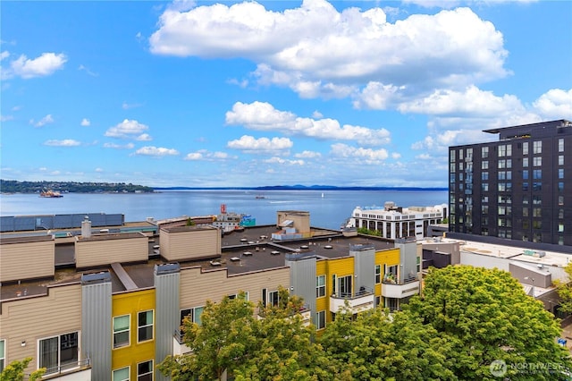2440 Western Ave Unit 807, Seattle, WA 98121 - water view