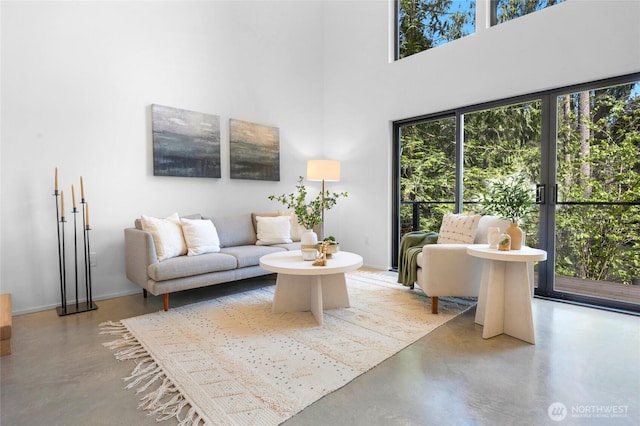 13703 Tastad Rd, Arlington, WA 98223 - living area featuring finished concrete flooring and a towering ceiling