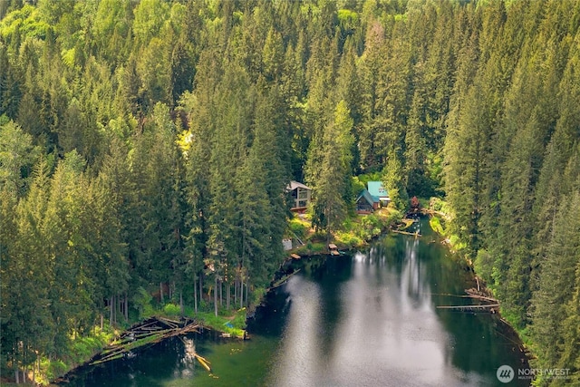 13703 Tastad Rd, Arlington, WA 98223 - aerial view of a forest and a nearby body of water