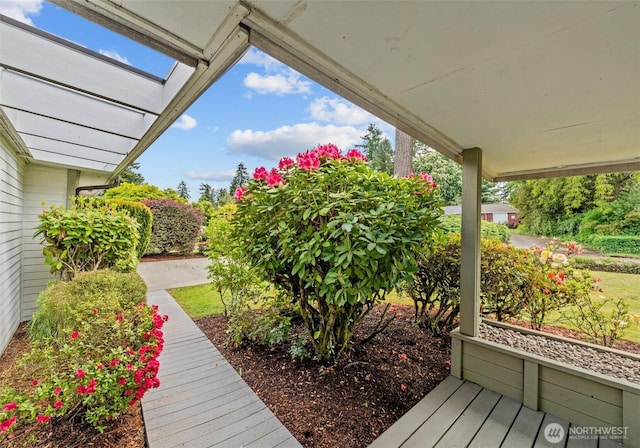 6217 Hillcrest Dr SW, Lakewood, WA 98499 - view of yard