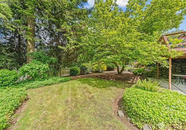 6217 Hillcrest Dr SW, Lakewood, WA 98499 - view of green lawn with a patio