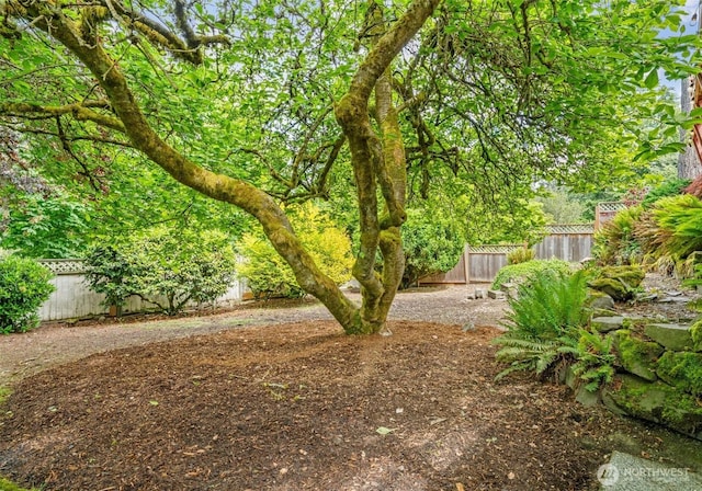 6217 Hillcrest Dr SW, Lakewood, WA 98499 - view of fenced backyard