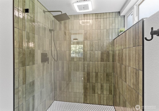 6217 Hillcrest Dr SW, Lakewood, WA 98499 - full bathroom with tiled shower