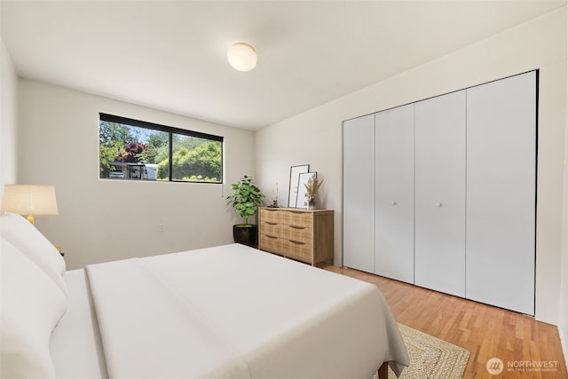 6217 Hillcrest Dr SW, Lakewood, WA 98499 - bedroom featuring light wood finished floors and a closet