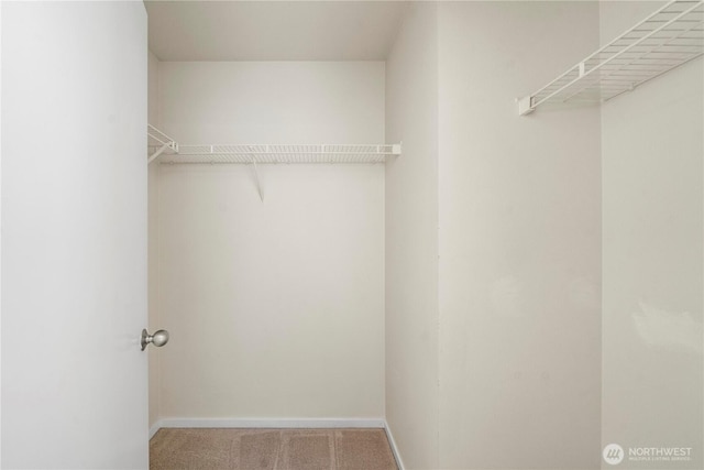 1133 63rd St SE Unit A, Auburn, WA 98092 - walk in closet with carpet