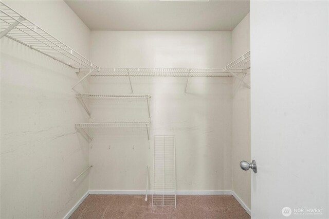 1133 63rd St SE Unit A, Auburn, WA 98092 - spacious closet featuring carpet flooring
