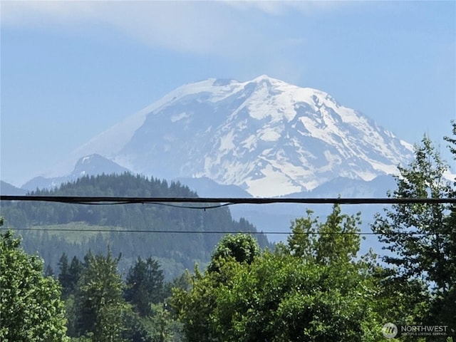 276XX SE 424th St, Enumclaw, WA 98022