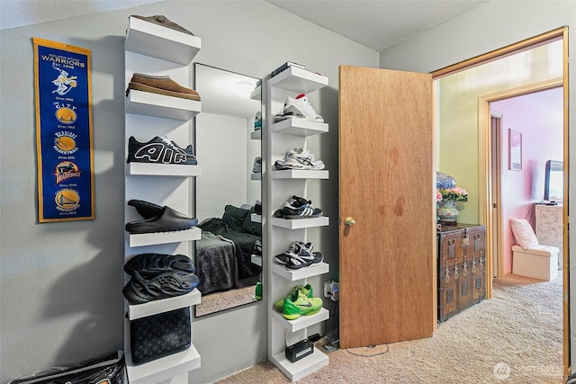 7608 145th Avenue Ct E, Sumner, WA 98390 - spacious closet with carpet