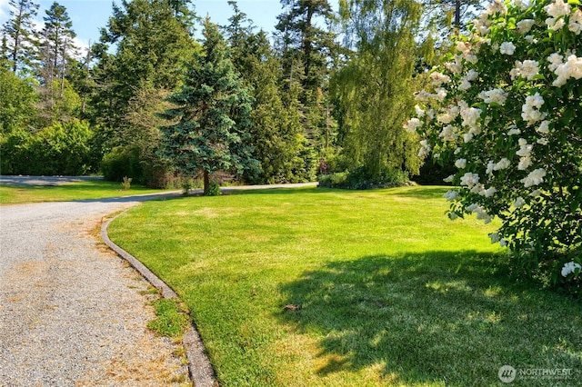 16004 Snee Oosh Rd, La Conner, WA 98257 - surrounding community featuring a yard