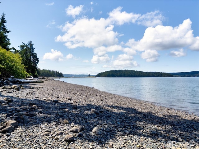 16004 Snee Oosh Rd, La Conner, WA 98257 - water view