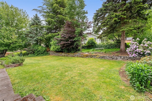 525527 16th Ave SE, Olympia, WA 98501 - view of green lawn