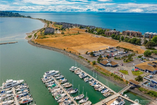 9540 Semiahmoo Pkwy Unit E14, Blaine, WA 98230 - aerial view of a nearby body of water and numerous boat docks