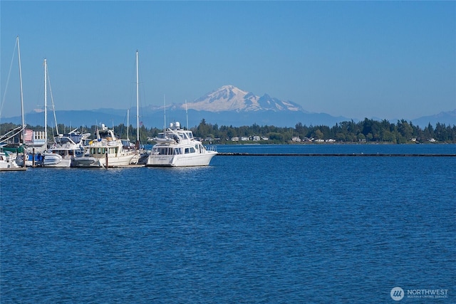 9540 Semiahmoo Pkwy Unit E14, Blaine, WA 98230 - water view featuring a mountainous background
