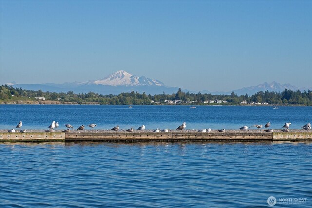 9540 Semiahmoo Pkwy Unit E14, Blaine, WA 98230 - water view with a mountainous background
