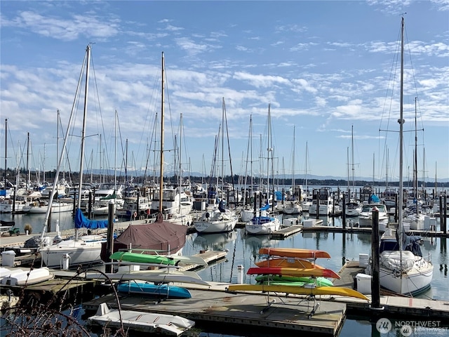 9540 Semiahmoo Pkwy Unit E14, Blaine, WA 98230 - dock with view of marina and a water view