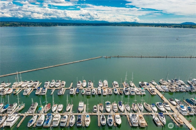 9540 Semiahmoo Pkwy Unit E14, Blaine, WA 98230 - drone / aerial view of numerous boat docks and a large body of water