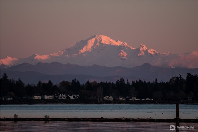 9540 Semiahmoo Pkwy Unit E14, Blaine, WA 98230 - mountain view featuring a large body of water and a forest