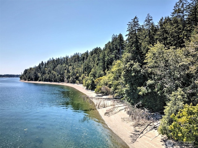 80 E Tamarack Ln, Shelton, WA 98584 - water view with a heavily wooded area