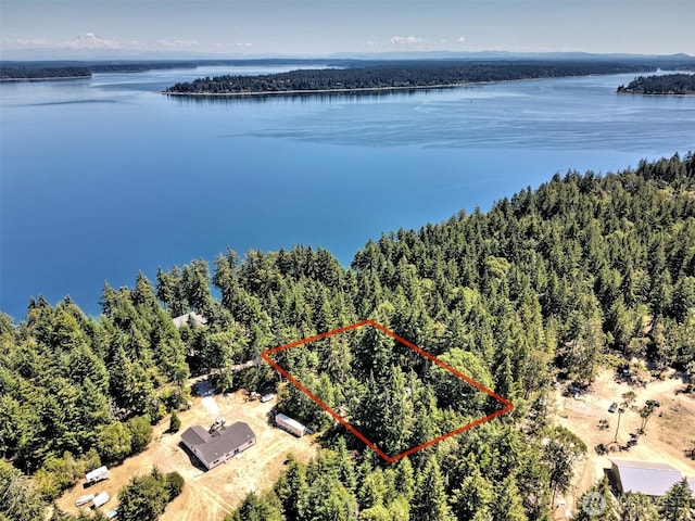 80 E Tamarack Ln, Shelton, WA 98584 - view of property location with property parcel outlined, a large body of water, and a heavily wooded area