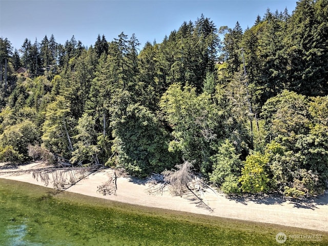 80 E Tamarack Ln, Shelton, WA 98584 - bird's eye view