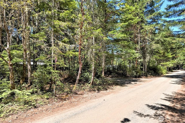 80 E Tamarack Ln, Shelton, WA 98584 - view of dirt / gravel road featuring a view of trees