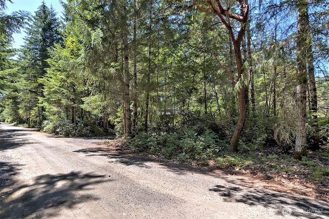 80 E Tamarack Ln, Shelton, WA 98584 - view of dirt / gravel road with a forest view