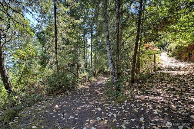 80 E Tamarack Ln, Shelton, WA 98584 - view of road featuring a wooded view