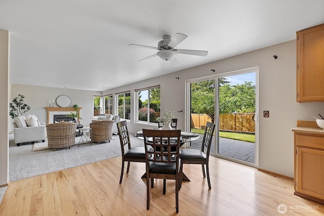 30515 127th Pl SE, Auburn, WA 98092 - dining space with light wood-style floors, a fireplace, ceiling fan, and baseboards