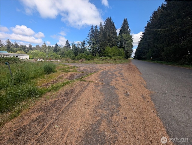 235 Delta Wing Dr, Forks, WA 98331 - photo 39