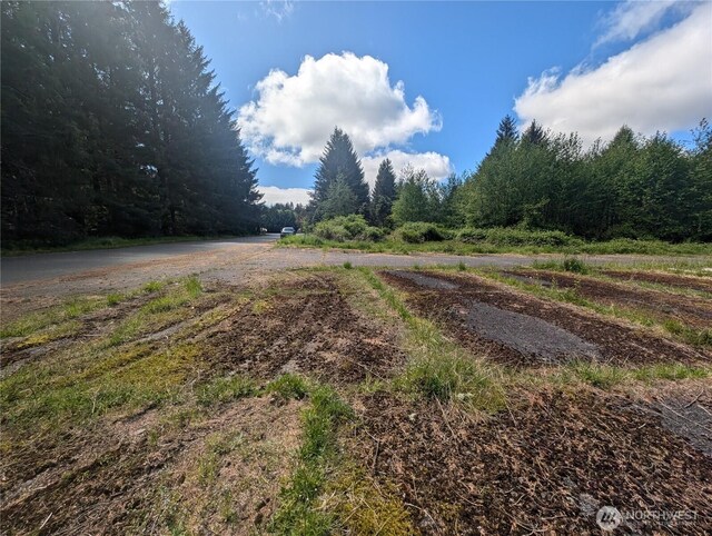 235 Delta Wing Dr, Forks, WA 98331 - photo 40