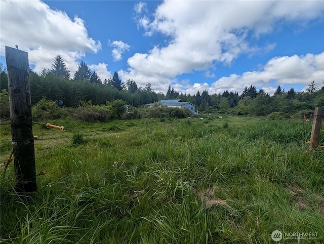 235 Delta Wing Dr, Forks, WA 98331 - photo 14