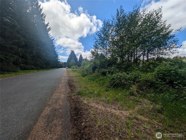 235 Delta Wing Dr, Forks, WA 98331 - photo 13