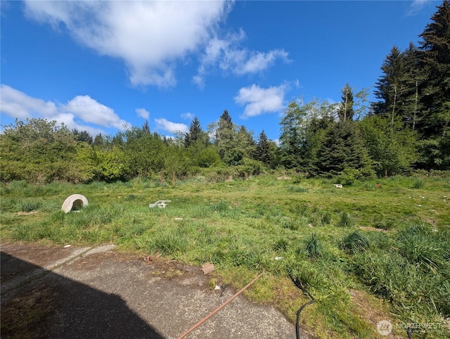 235 Delta Wing Dr, Forks, WA 98331 - photo 11