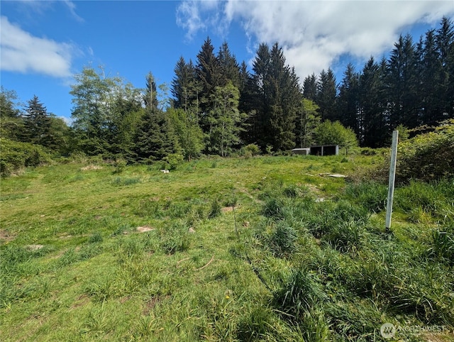 235 Delta Wing Dr, Forks, WA 98331 - photo 12
