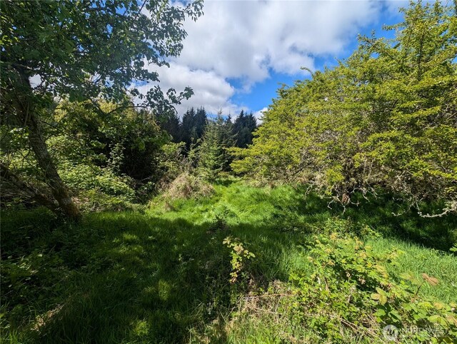 235 Delta Wing Dr, Forks, WA 98331 - photo 17