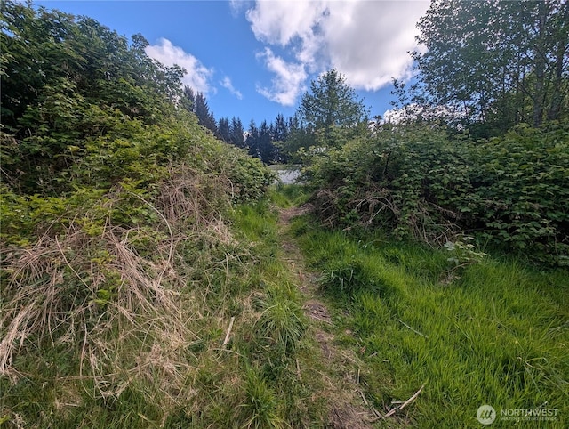 235 Delta Wing Dr, Forks, WA 98331 - photo 21