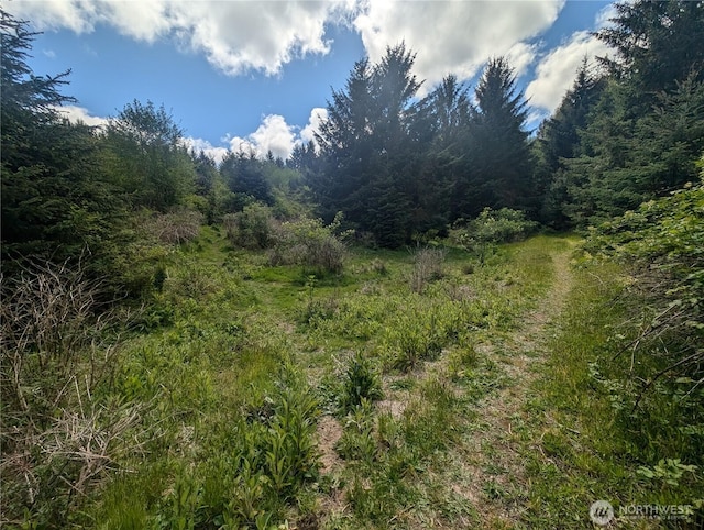 235 Delta Wing Dr, Forks, WA 98331 - photo 23