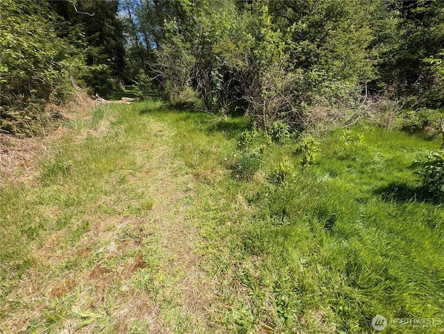 235 Delta Wing Dr, Forks, WA 98331 - photo 26