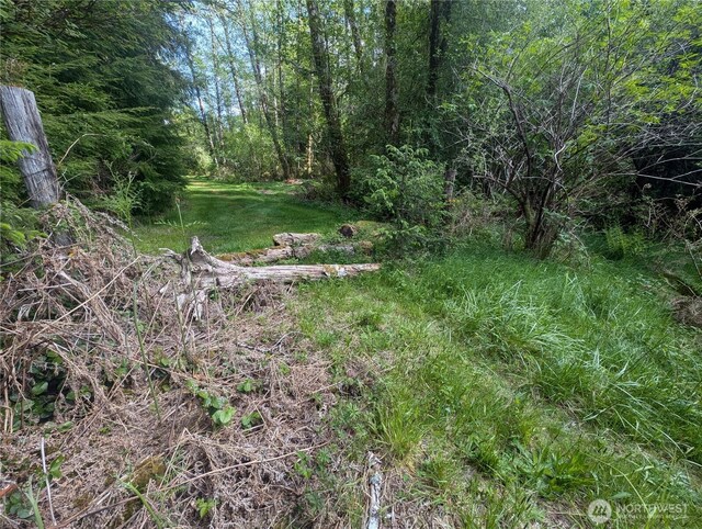 235 Delta Wing Dr, Forks, WA 98331 - photo 27